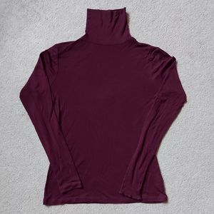 Babaton Aritzia Lyocell and Cashmere Turtleneck